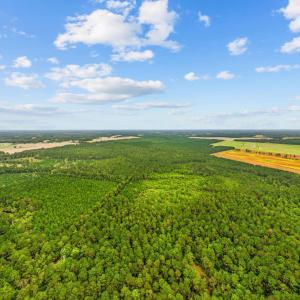 Photo #1 of TBD River Bend Rd., Loris, SC 200.0 acres