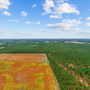 Photo #4 of TBD River Bend Rd., Loris, SC 200.0 acres