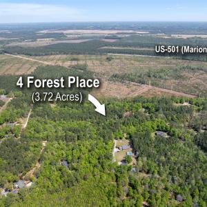 Photo #10 of 4 Forest Pl., Marion, SC 3.6 acres