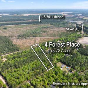Photo #1 of 4 Forest Pl., Marion, SC 3.6 acres