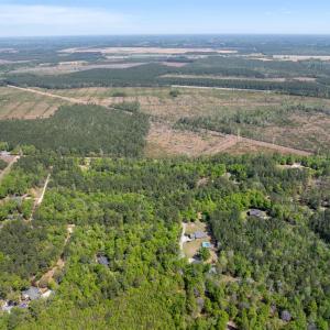 Photo #7 of 4 Forest Pl., Marion, SC 3.6 acres