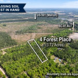 Photo #1 of 4 Forest Pl., Marion, SC 3.6 acres
