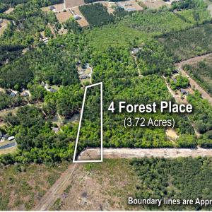 Photo #10 of 4 Forest Pl., Marion, SC 3.6 acres