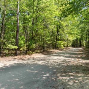 Photo #11 of 4 Forest Pl., Marion, SC 3.6 acres