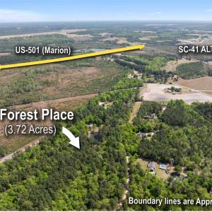 Photo #3 of 4 Forest Pl., Marion, SC 3.6 acres