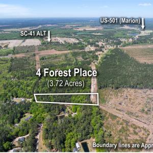 Photo #2 of 4 Forest Pl., Marion, SC 3.6 acres