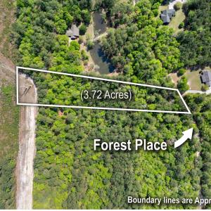 Photo #9 of 4 Forest Pl., Marion, SC 3.6 acres