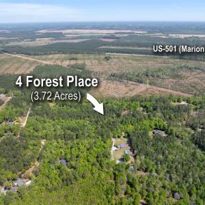 Photo #8 of 4 Forest Pl., Marion, SC 3.6 acres