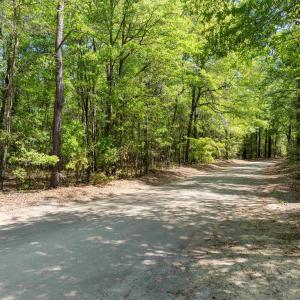 Photo #11 of 4 Forest Pl., Marion, SC 3.6 acres