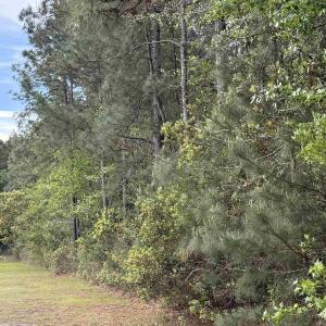 Photo #5 of TBD Gussie Ct., Myrtle Beach, SC 3.3 acres