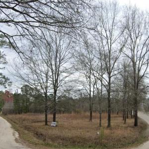 Photo #1 of Dover Rd, Marion, SC 1.1 acres