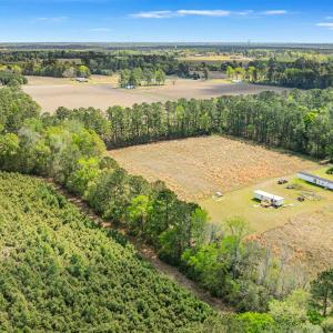 Photo #9 of 6.5 Acres Christine Pl., Hemingway, SC 6.5 acres