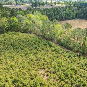 Photo #11 of 6.5 Acres Christine Pl., Hemingway, SC 6.5 acres