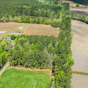 Photo #5 of 6.5 Acres Christine Pl., Hemingway, SC 6.5 acres