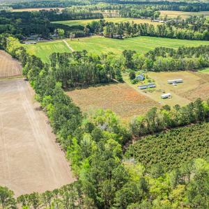 Photo #8 of 6.5 Acres Christine Pl., Hemingway, SC 6.5 acres