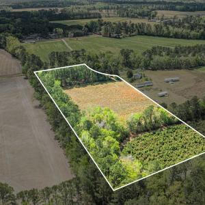 Photo #17 of 6.5 Acres Christine Pl., Hemingway, SC 6.5 acres