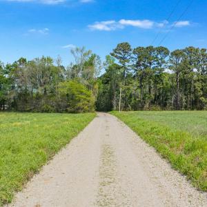 Photo #2 of 6.5 Acres Christine Pl., Hemingway, SC 6.5 acres