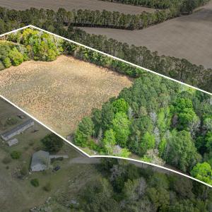 Photo #20 of 6.5 Acres Christine Pl., Hemingway, SC 6.5 acres