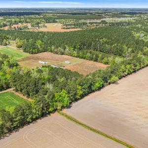 Photo #6 of 6.5 Acres Christine Pl., Hemingway, SC 6.5 acres