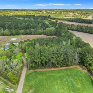 Photo #13 of 6.5 Acres Christine Pl., Hemingway, SC 6.5 acres