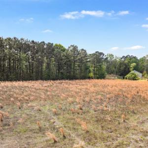 Photo #12 of 6.5 Acres Christine Pl., Hemingway, SC 6.5 acres