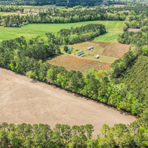 Photo #7 of 6.5 Acres Christine Pl., Hemingway, SC 6.5 acres