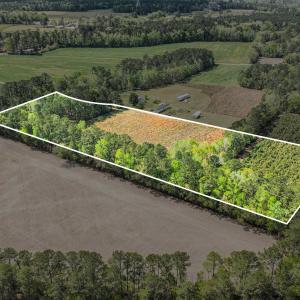 Photo #16 of 6.5 Acres Christine Pl., Hemingway, SC 6.5 acres