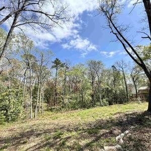Photo #8 of 1677 Carriage Ln., Little River, SC 0.3 acres