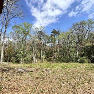 Photo #7 of 1677 Carriage Ln., Little River, SC 0.3 acres