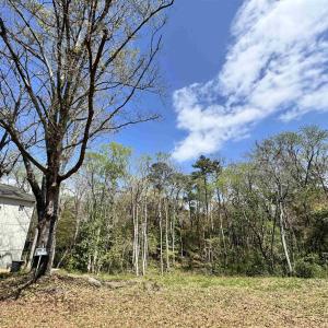 Photo #11 of 1677 Carriage Ln., Little River, SC 0.3 acres