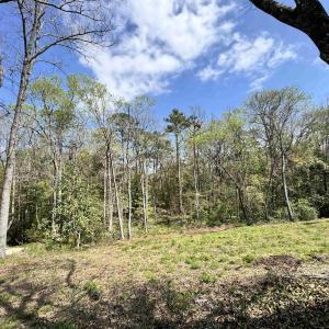 Photo #10 of 1677 Carriage Ln., Little River, SC 0.3 acres