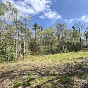 Photo #1 of 1677 Carriage Ln., Little River, SC 0.3 acres