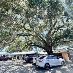 Photo #21 of 1677 Carriage Ln., Little River, SC 0.3 acres