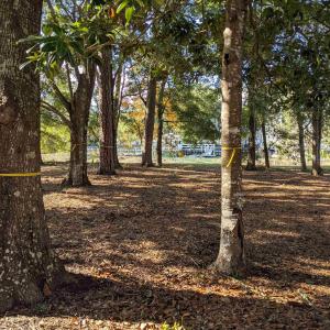 Photo #1 of 31 Gasparilla Circle, Murrells Inlet, SC 0.3 acres