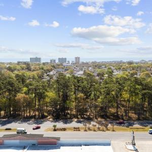 Photo #8 of 2580 Highway 17 Business South, Murrells Inlet, SC 3.6 acres