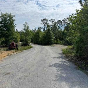 Photo #2 of 1698 Carriage Dr., Loris, SC 5.2 acres