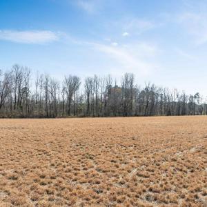 Photo #2 of Lot 3 Sheila Dr., Johnsonville, SC 9.8 acres
