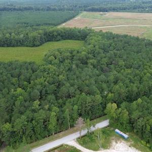 Photo #2 of TBD Fries Bay Rd., Loris, SC 13.5 acres