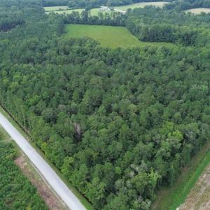 Photo #3 of TBD Fries Bay Rd., Loris, SC 13.5 acres