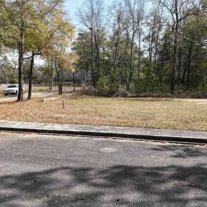Photo #10 of 134 Middle Square Ln., Georgetown, SC 0.1 acres