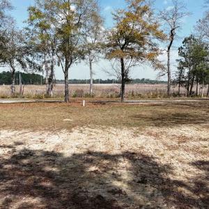 Photo #4 of 134 Middle Square Ln., Georgetown, SC 0.1 acres