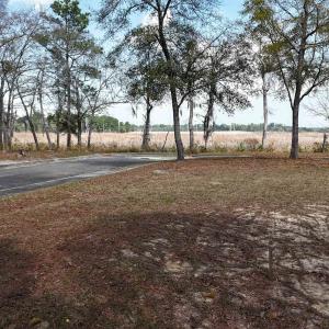 Photo #8 of 134 Middle Square Ln., Georgetown, SC 0.1 acres