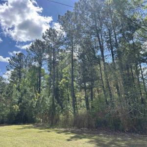 Photo #2 of TBD Georgetown Hwy., Andrews, SC 39.0 acres