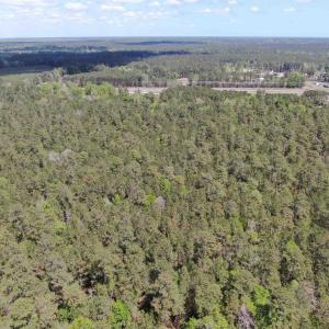 Photo #13 of TBD Georgetown Hwy., Andrews, SC 39.0 acres