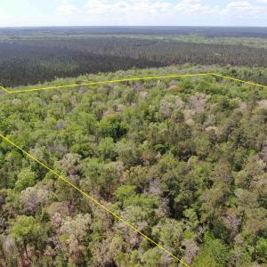 Photo #4 of TBD Georgetown Hwy., Andrews, SC 39.0 acres