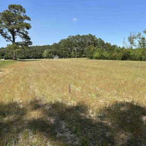 Photo #2 of TBD Choppee Rd., Hemingway, SC 2.3 acres