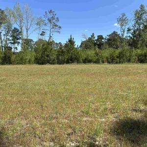 Photo #3 of TBD Choppee Rd., Hemingway, SC 2.3 acres