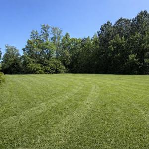 Photo #1 of Lot 2 Miles Ct, Marion, SC 0.8 acres