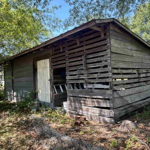 Photo #24 of 1811 Tranquil Rd., Mullins, SC 18.9 acres