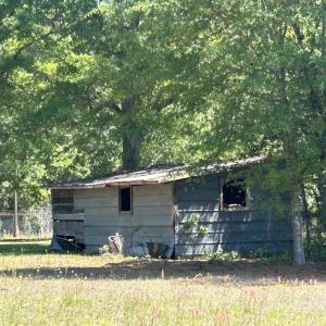 Photo #23 of 1811 Tranquil Rd., Mullins, SC 18.9 acres